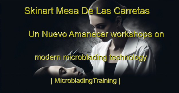 Skinart Mesa De Las Carretas  Un Nuevo Amanecer workshops on modern microblading technology | MicrobladingTraining | MicrobladingClasses | SkinartTraining-Mexico